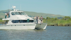 BB-00494